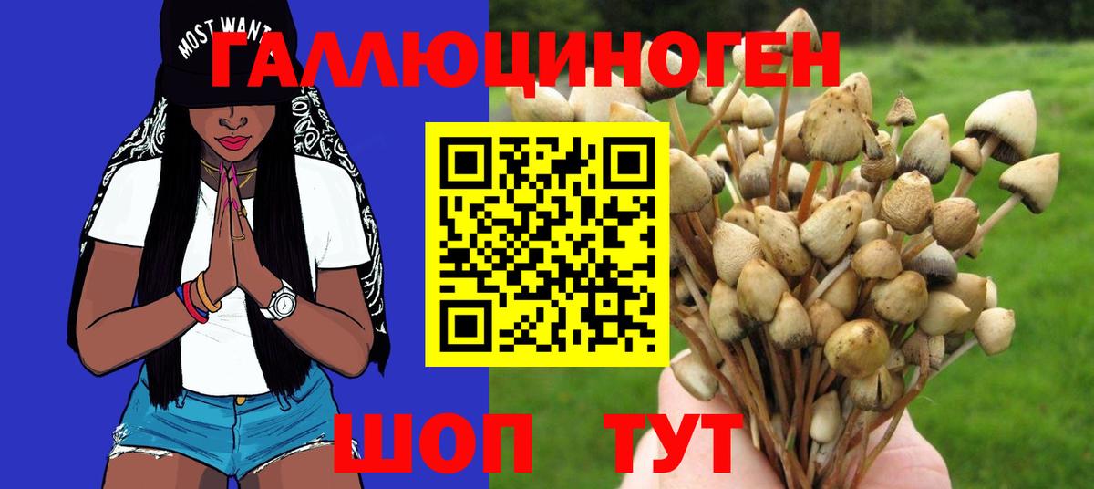 Псилоцибиновые грибы Magic Shrooms  Галлюциногенные грибы Cubensis  Вход с VPN  Киров 